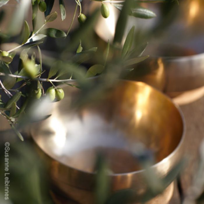 Mit Leichtigkeit die Prüfungen des Lebens meistern!